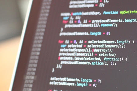 software-entwickler