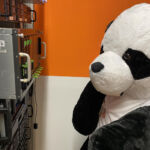 06_server-administration